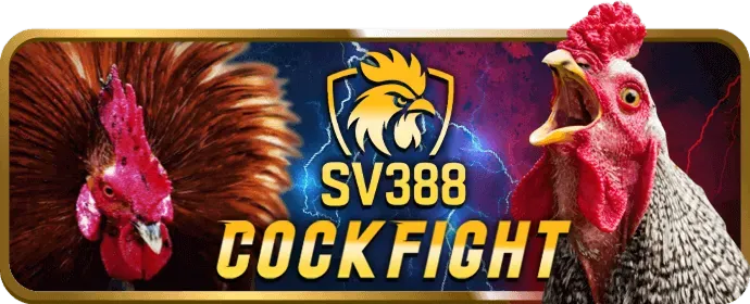 Hình ảnh hệ thống bảo mật của Winbet khuyến mãi