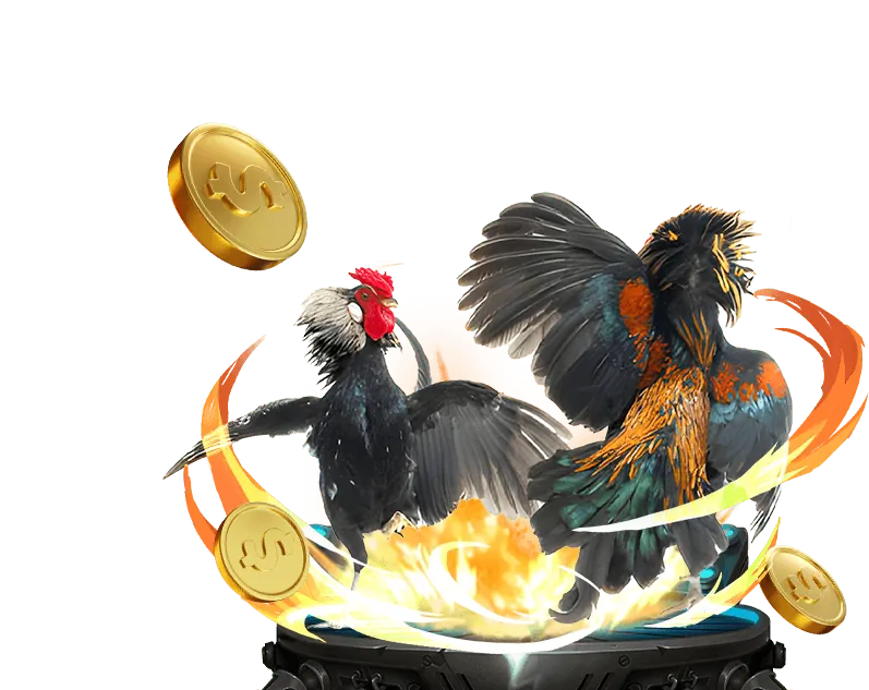 Hoàn trả Winbet